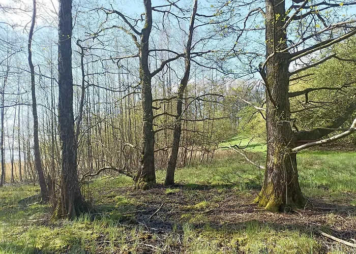 Hébergement de vacances 4 Person In Snedsted-by Traum *